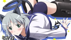 School uniforms nekomimi animal ears strike witches sanya v 