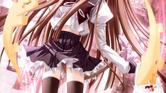 School uniforms nekomimi cat