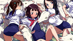 School uniforms school swimsuits