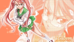 School uniforms skirts highschool