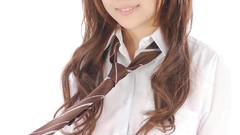 School uniforms tie brown