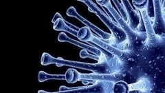 Science 3d images bacteria thumbnail watermarked aspxchan