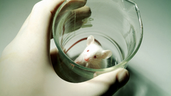 Science Beaker Scientists albino