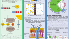 Science biology infographics
