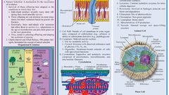 Science biology infographics