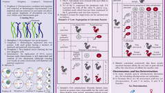 Science biology infographics genetics