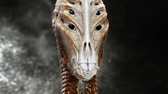 Science fiction alien