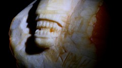 Science fiction alien