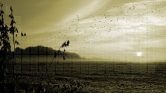 Science knowledge chemistry digital art Periodic Table