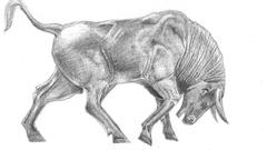 Science medicine illustrations drawings