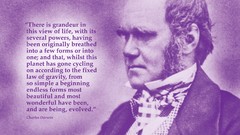 Science monochrome Scientists Quotes Charles Darwin