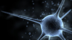 Science neuron
