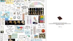 Science religion Bible Evolution