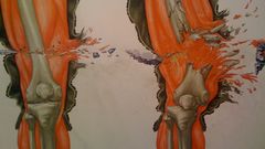 Science War anatomy ammunition