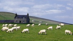 Scotland farm