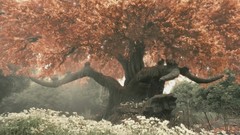 Screenshots Chinese Ghost Story