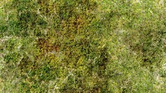 Scrublands Green grass Textures