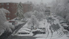 Sdctaken outside My dormdays