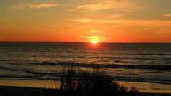 Sea beach orange sunset