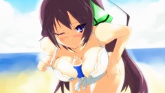 Sea Beaches anime girls infinite stratos shinonono houki 