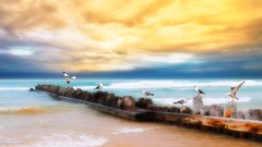 Sea Beaches HDR Photography