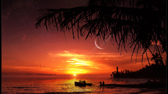 Sea Beaches sunset ocean