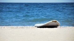 Sea Beaches surfboards