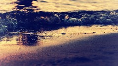 Sea Beaches waves shore sunlight