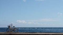 Sea Bicycles