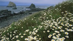 Sea California national park