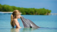Sea children Dolphins friendship kissing