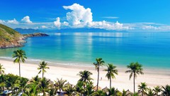 Sea clouds palm trees Beaches