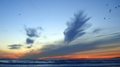 Sea clouds Seaside skies
