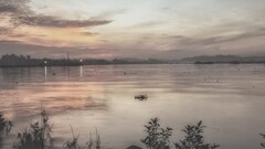 Sea clouds sky Plants water outdoors