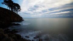 Sea coast sky horizon landscape Trees water outdoors