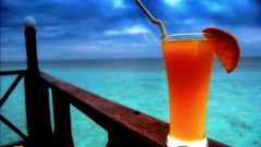Sea cocktail tropical