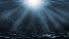 Sea deep underwater artwork