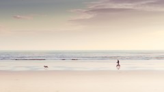 Sea Dogs New Zealand Beaches