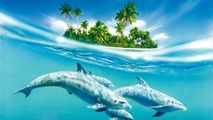 Sea Dolphins Islands palm trees split-view