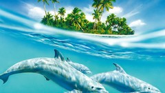 Sea Dolphins Islands palm trees split-view