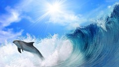 Sea Dolphins waves
