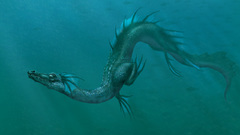 Sea dragon high Resolution