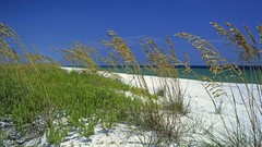 Sea Florida keys Beaches