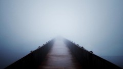 Sea fog nature Wood Journey