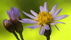 Sea germany national park