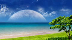 Sea grass beach serenity Monitor dual selective