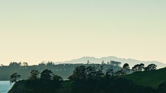 Sea grass hills Boats New Zealand