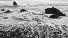 Sea grayscale