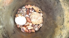 Sea Greece shells Beaches