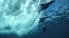 Sea Islands breaking Ecuador Galapagos